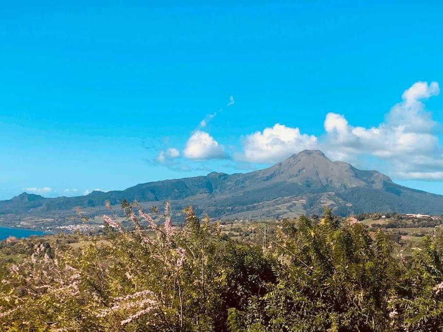 Bungalow Avec Vue Dans Lieu Calme Le Carbet Ngoại thất bức ảnh
